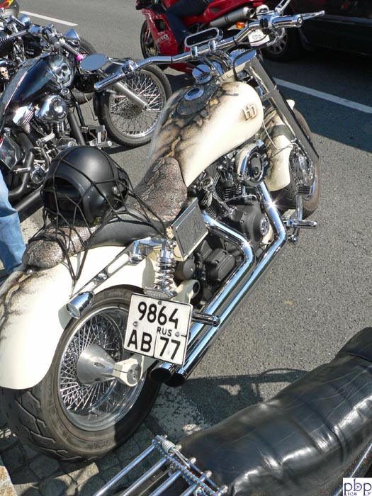 Faak0439