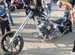 Faak0484