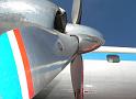 Connie141