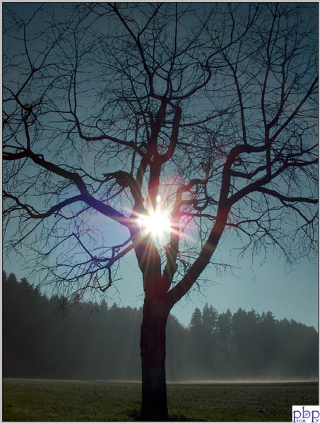 Herbst03