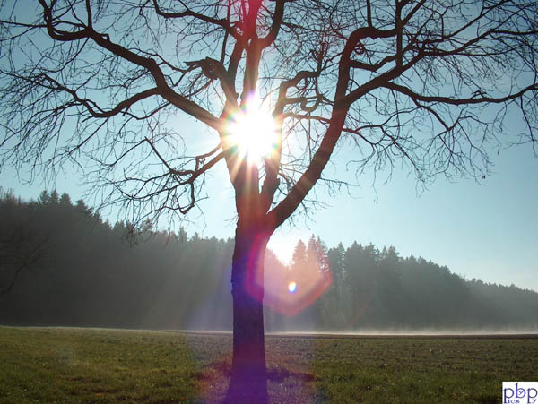 Herbst07