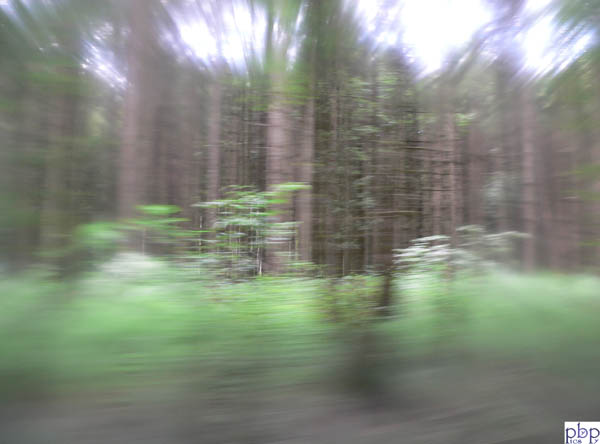 Natur50