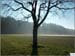 Herbst02