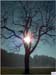Herbst03