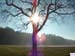 Herbst07