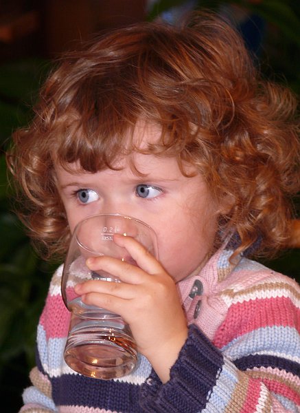 Willi085.jpg