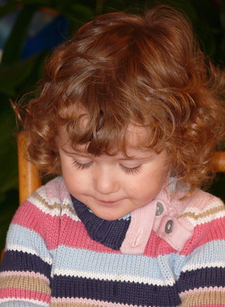Willi086.jpg