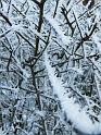 Biecht_Schnee022